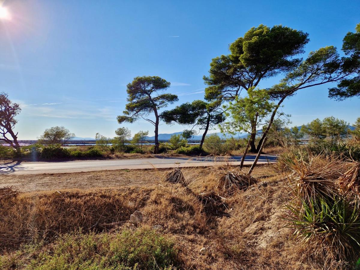 Les Flamants Roses De La Capte T3 Hyeres Bagian luar foto